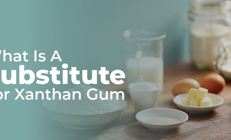 what is a substitute for xanthan gum