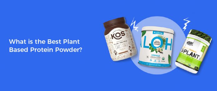 what-is-the-best-plant-based-protein-powder-healthy-house-ideas