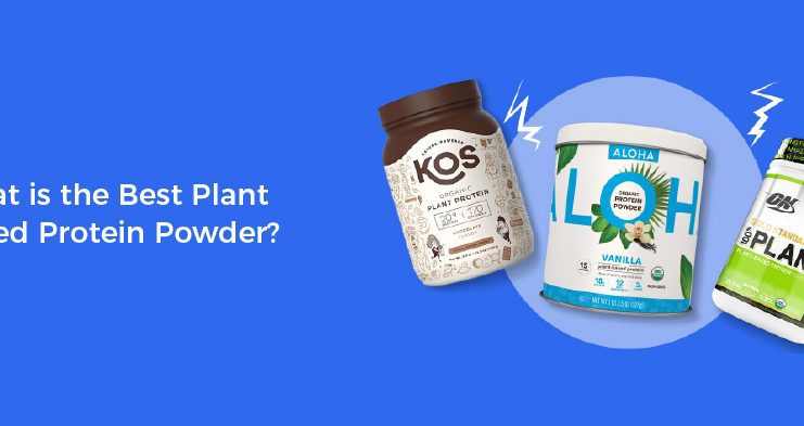 What is the Best Plant Based Protein Powder